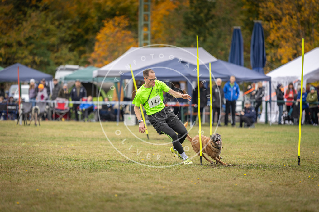 Pfotenfotografie_DV3A8110 | Hundefotografie, Tierfotograf, Pfotenfotografie, Fotoshooting Hund, Hunde Portrait, Hundesport, Hundeportraits, Heideshooting, Hunde, Sportfotograf, Hundefotograf, Turnierhundsport, THS,  - Realisiert mit Pictrs.com