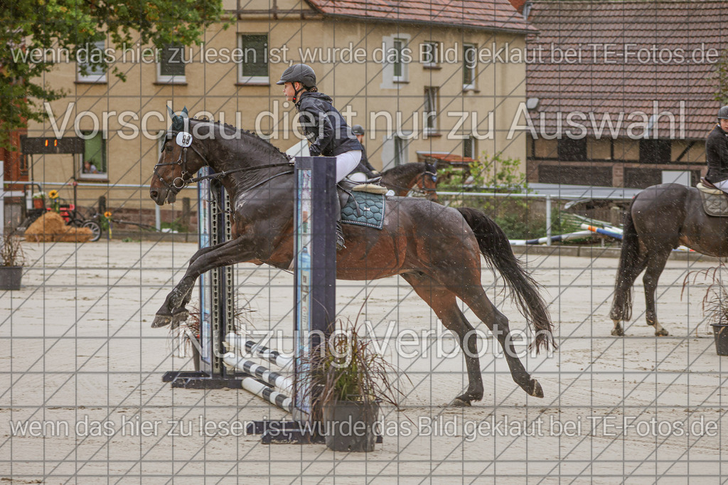 2025-09-22_10-09-32_MG_5995 | TE-Fotos