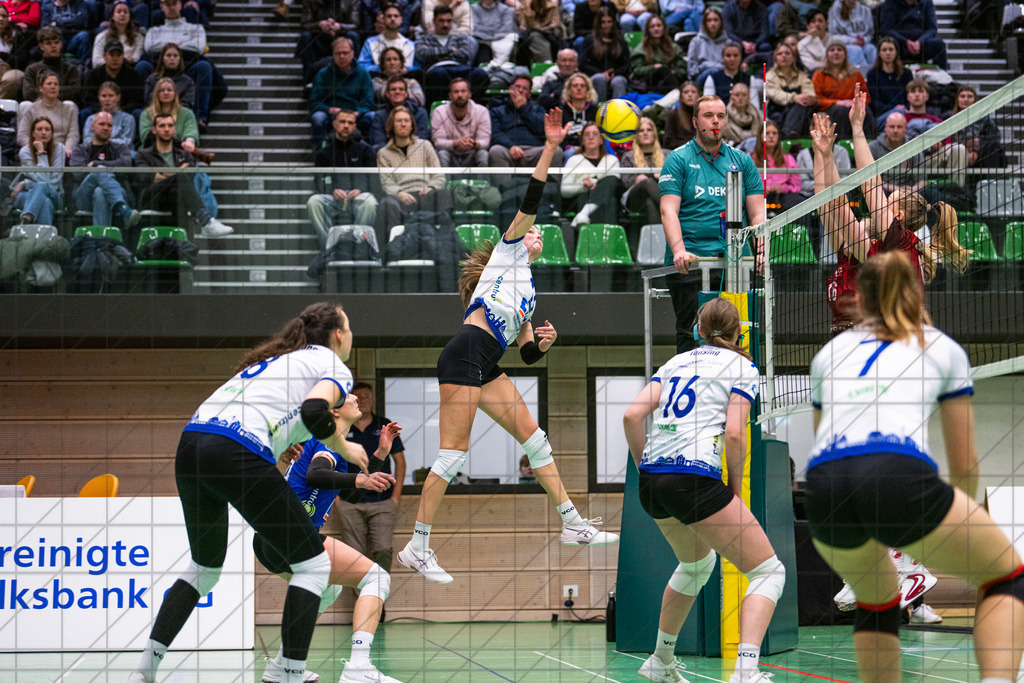 2. VBLF Nord 25/26 | Spiel 4065 | VC Osnabrück vs. TUSA City Girls Düsseldorf | //  10.01.26: 2. VBLF Nord 25/26 | Spiel 4065 | VC Osnabrück vs. TUSA City Girls Düsseldorf / Osnabrück / Deutschland  //   CREDIT:www.bullenfotos.de, Martin König, Hörner Weg 40, D-49078 Osnabrück, +4917663732967 // Nutzung und Weitergabe nur zu den vereinbarten Zwecken. Presseanfragen an Ersteller. Alle Rechte beim Ersteller. Honorierung nach MFM. - Realisiert mit Pictrs.com
