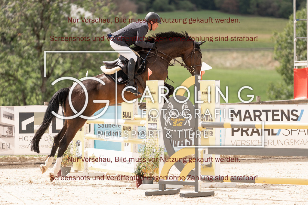 DSC06423 | Springturnier_Teamchallege_Talheim_2026, Joachim_Scherr, Cancarbo_W_Z