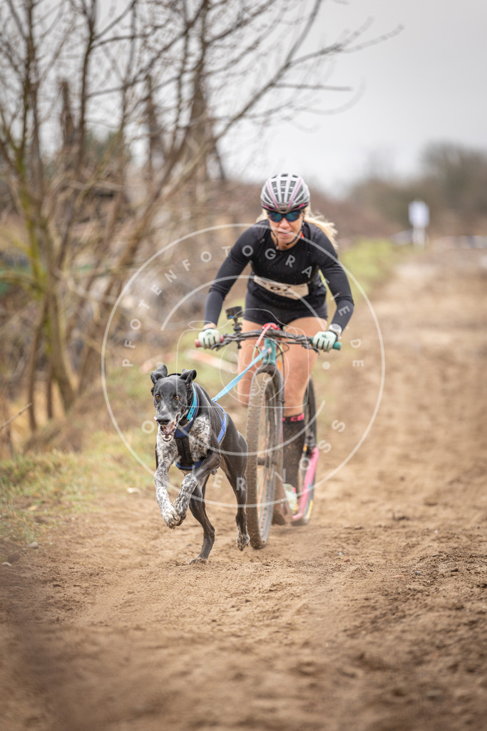 DV3A9566 | Hundefotografie, Tierfotograf, Pfotenfotografie, Fotoshooting Hund, Hunde Portrait, Hundesport, Hundeportraits, Heideshooting, Hunde, Sportfotograf, Hundefotograf, Turnierhundsport, THS,  - Realisiert mit Pictrs.com