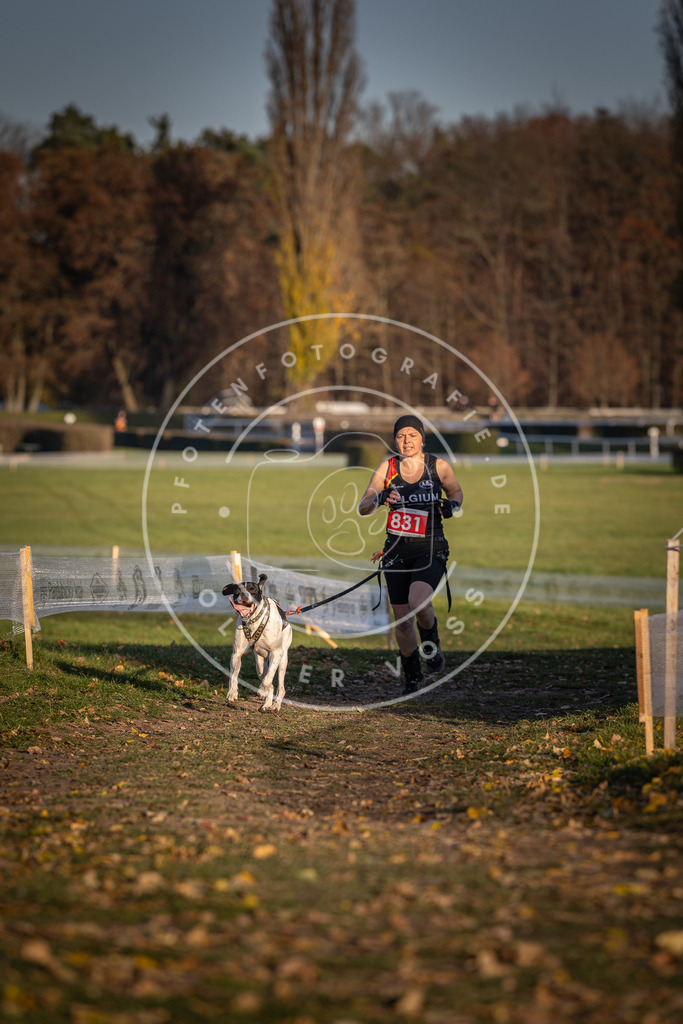 CaniXpix_DV3A3404 | Hundefotografie, Tierfotograf, Pfotenfotografie, Fotoshooting Hund, Hunde Portrait, Hundesport, Hundeportraits, Heideshooting, Hunde, Sportfotograf, Hundefotograf, Turnierhundsport, THS,  - Realisiert mit Pictrs.com