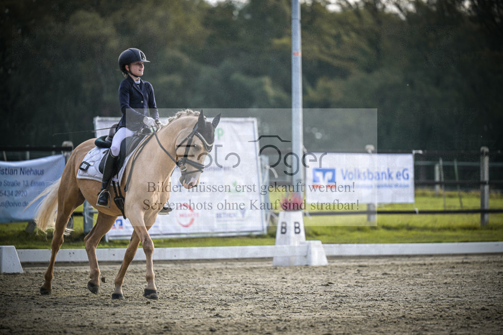 DOS_4668 | Entdecke hochwertige Reitturnierfotos von Foto Oger. Professionell, emotional und authentisch – jetzt Lieblingsmomente im Shop bestellen.Deutschlandweite Turnierfotografie. - Realisiert mit Pictrs.com