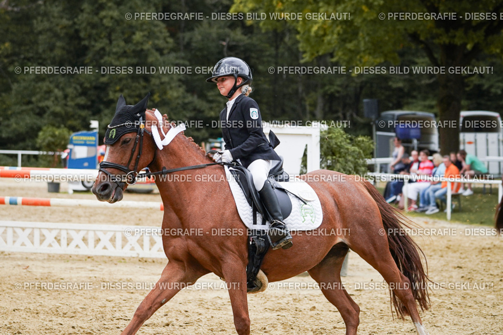 DSC06168 | Pferdegrafie