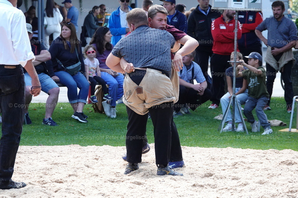 DSC01435 | Schwingen - Realisiert mit Pictrs.com