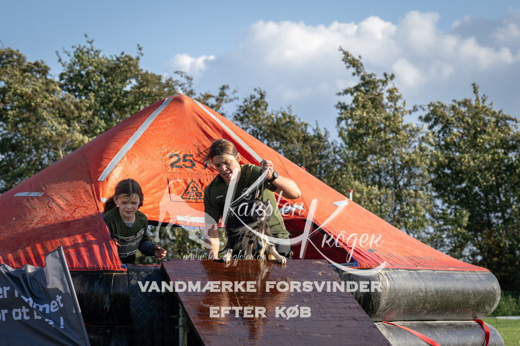 1454-90297 | kk-dogfotos
