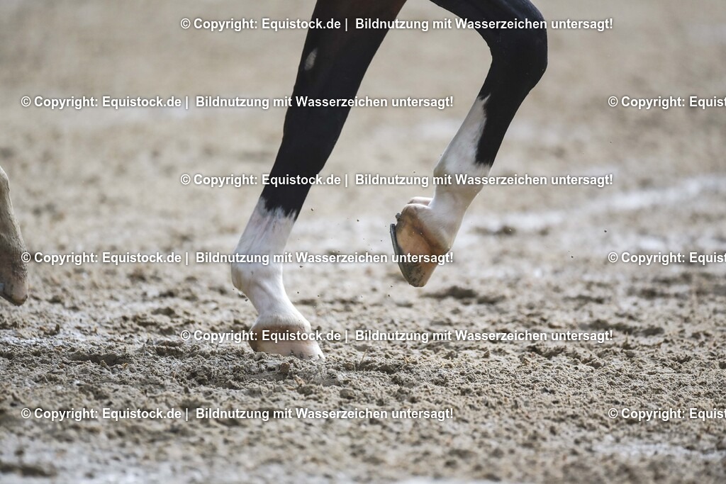 20240519_03_GP-Special-Tour_0162 | Foto: Thomas Hartig