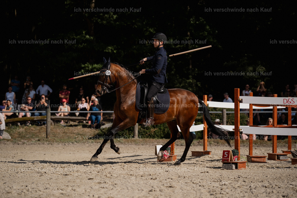 WS_SP_38_Stoibphotography_SO11526 | working equitationturnier fotograf videograf stoibphotography marixx film working equitation deutschland reitsport turnierfotografie eventfotografie equestrian events