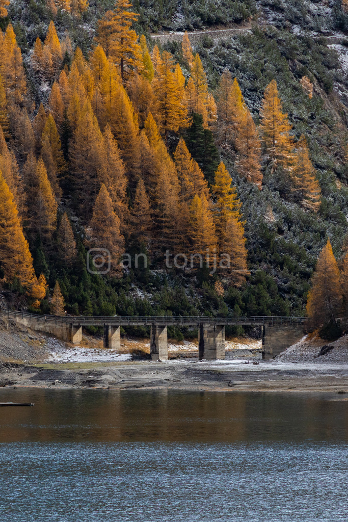 JB3A4974 | antonija-trupina - Realisiert mit Pictrs.com