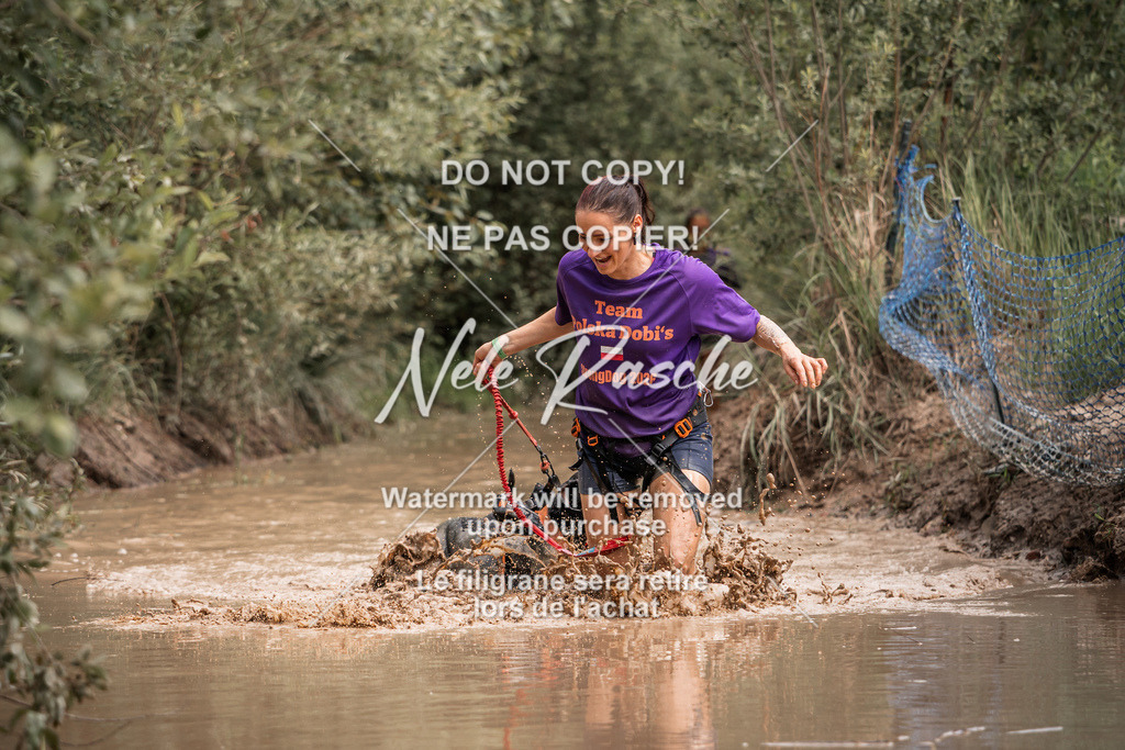 nelerasche_Hoope2026_So1400-1430_19 | nelerasche