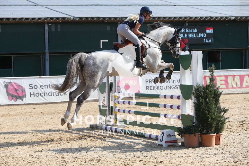 DL2Q0152 | Willkommen bei Brunnmayr - Design & Fotografie – Ihrem Spezialisten für Reitturniere und Pferdeveranstaltungen in Oberösterreich, Salzburg und Bayern! Seit über 17 Jahren sind wir leidenschaftlich dabei.