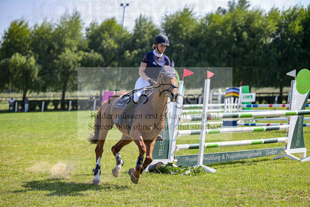 Reitturnier Voxtrup | Entdecke hochwertige Reitturnierfotos von Foto Oger. Professionell, emotional und authentisch – jetzt Lieblingsmomente im Shop bestellen.Deutschlandweite Turnierfotografie. - Realisiert mit Pictrs.com