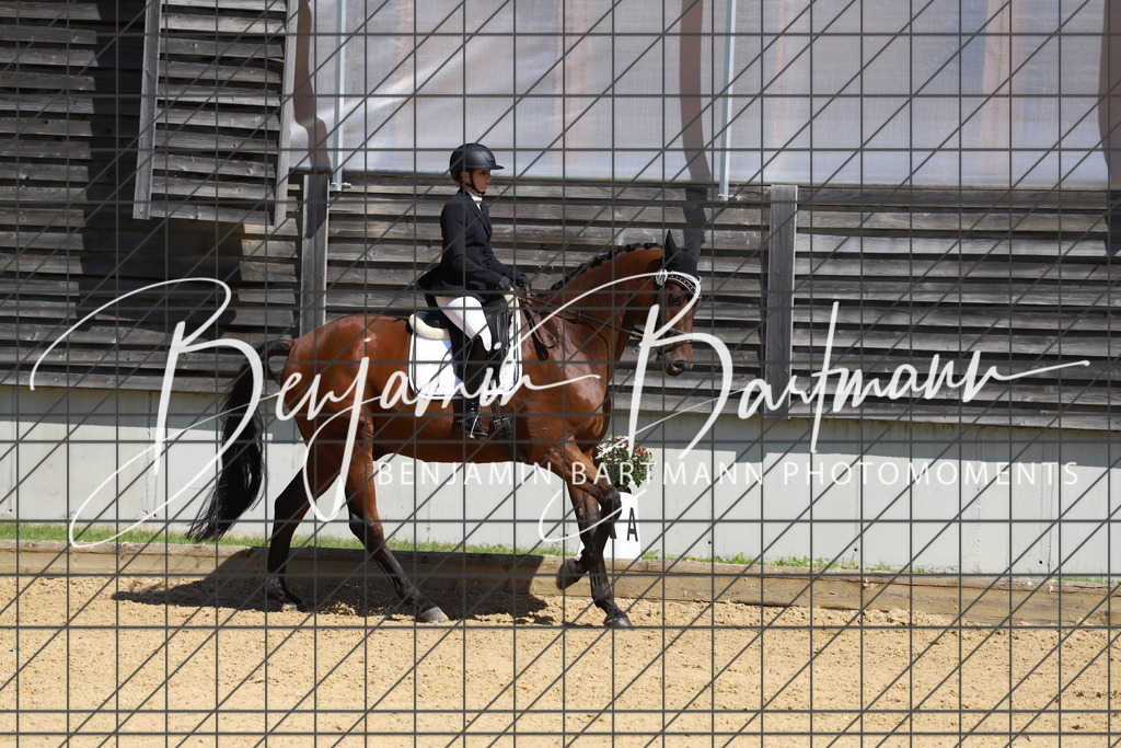 IMG_6588 | Benjamin Bartmann Photomoments