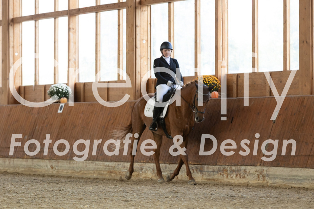 IMG_5784 | Creatify Fotografie