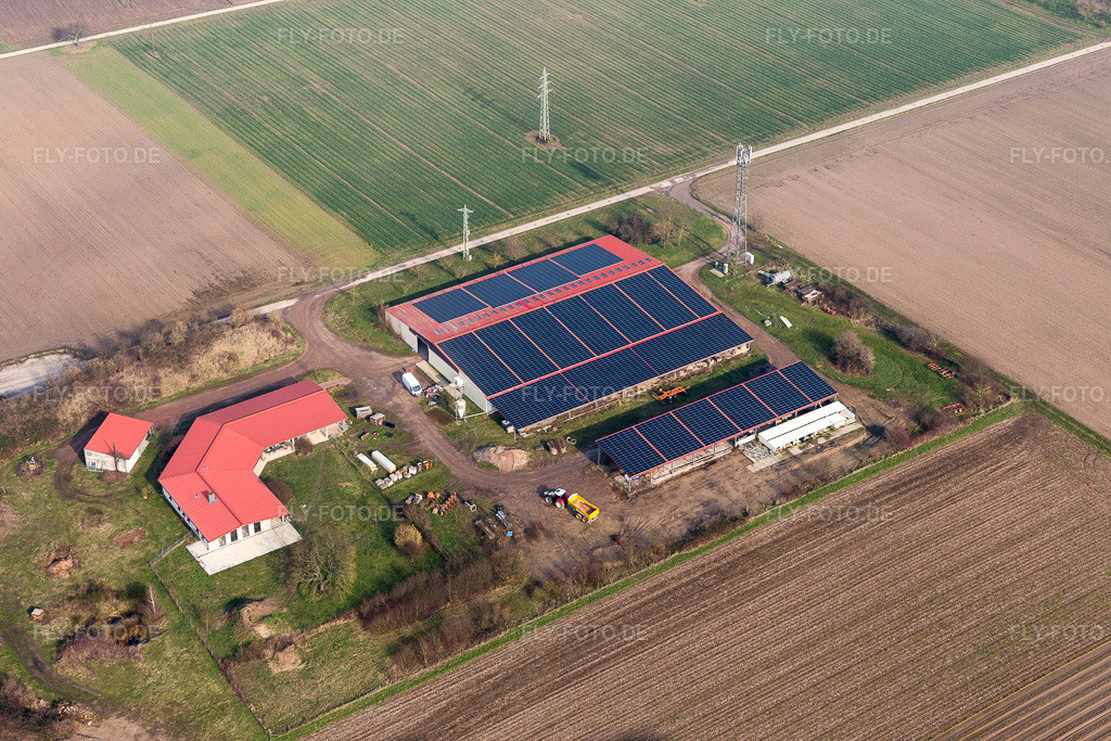 Luftbild: Aussiedlerhof in Erlenbach bei Kandel im Bundesland Rheinland-Pfalz in Deutschland. Foto: IMG_104714.jpg vom 08.02.2018 durch Werner Riehm/FLY-FOTO.de