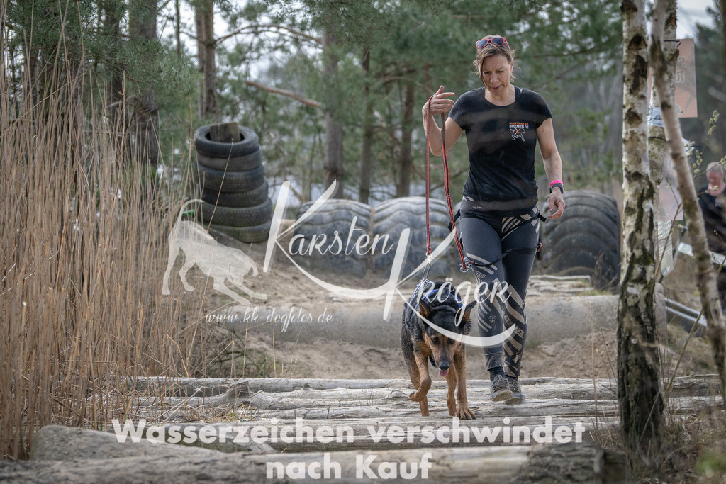 1114DSC_8299 | kk-dogfotos