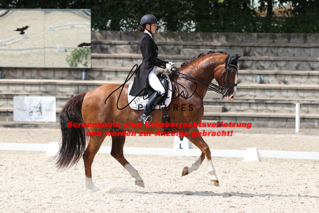 IMG_7079 | lmwpictures - Realisiert mit Pictrs.com