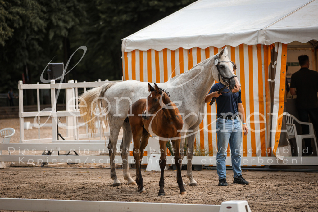 07.DoWBS00077 | Leoni Ertmer Photography - Realisiert mit Pictrs.com