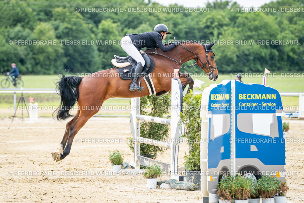 DSC05130 | Pferdegrafie