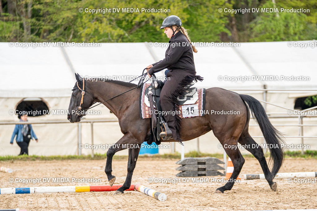 Heiligenwald Tag 1-675 | dv-media-shop - Realisiert mit Pictrs.com