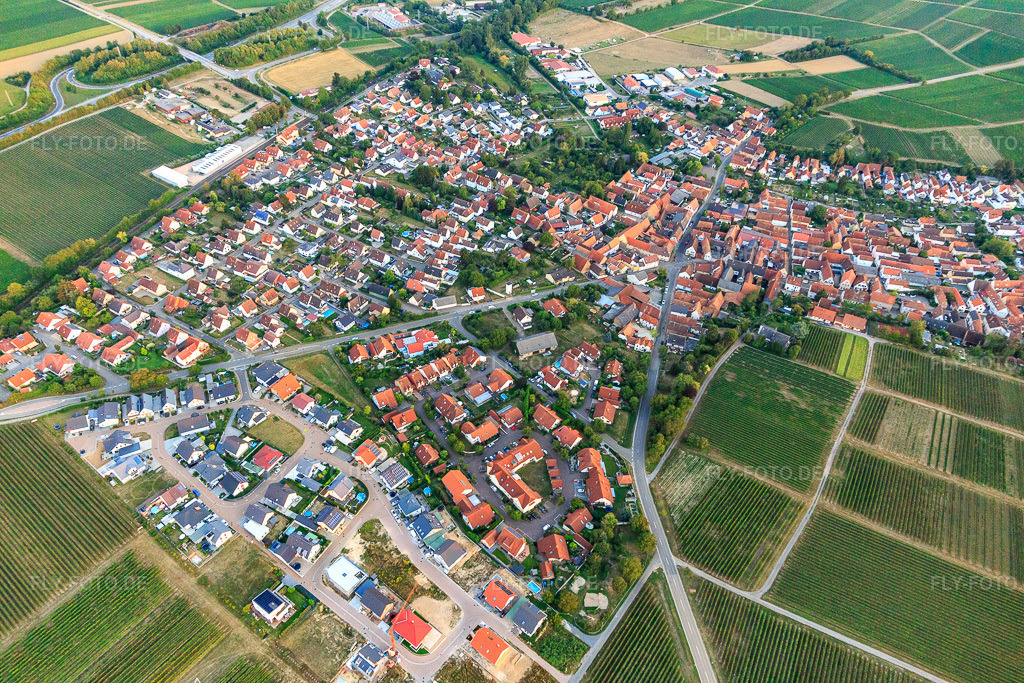 Luftbild: Neubaugebiet am Wingertsberg in Insheim im Bundesland Rheinland-Pfalz in Deutschland. Foto: IMG_122332.jpg vom 15.08.2020 durch Werner Riehm/FLY-FOTO.de