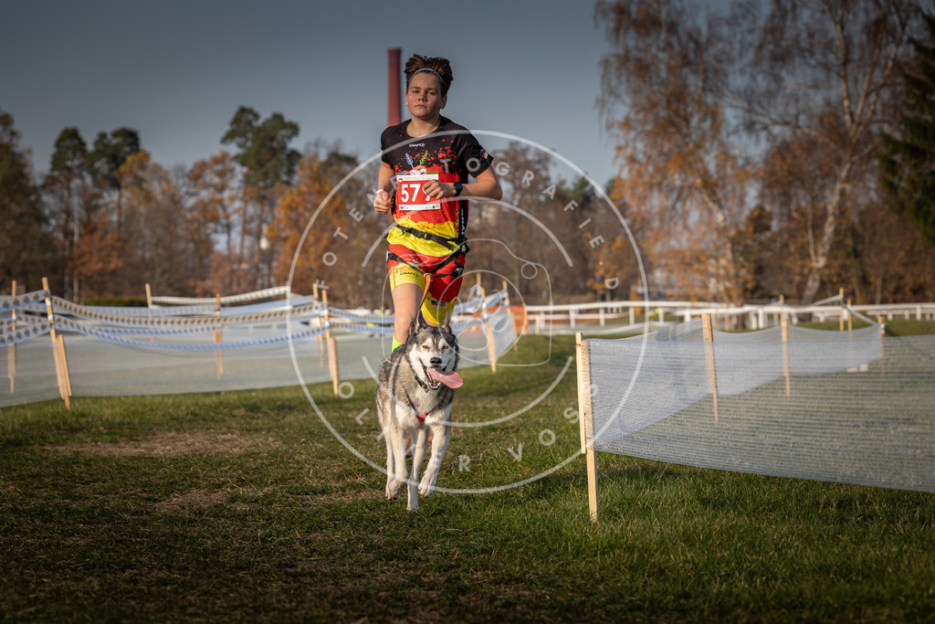 CaniXpix_0L8A9688 | Hundefotografie, Tierfotograf, Pfotenfotografie, Fotoshooting Hund, Hunde Portrait, Hundesport, Hundeportraits, Heideshooting, Hunde, Sportfotograf, Hundefotograf, Turnierhundsport, THS,  - Realisiert mit Pictrs.com