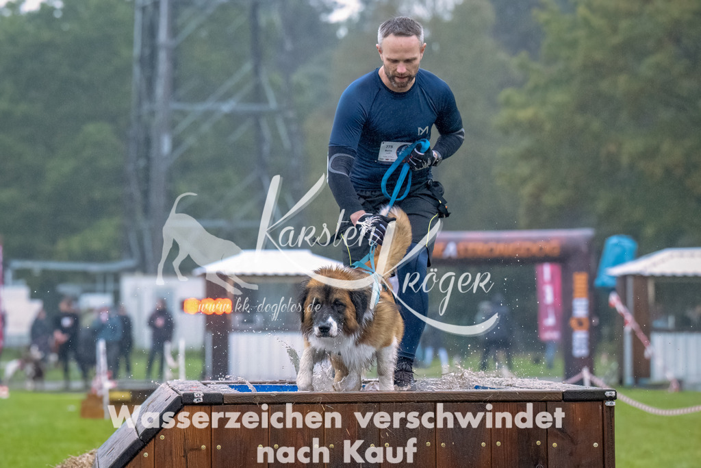 1015--4 | kk-dogfotos