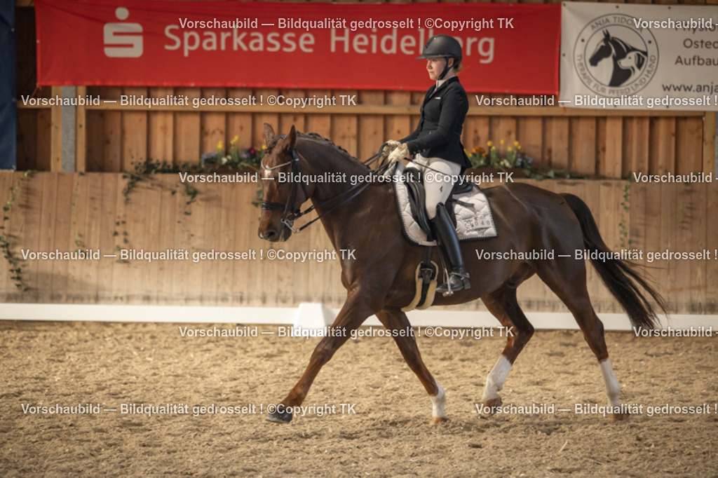 _D5A3342 | Emotionale Pferde- & People-Fotografie rund um Heidelberg, Leimen & Umgebung. Natürliche Fotos von Pferd, Mensch & Familie. Jetzt Termin sichern!