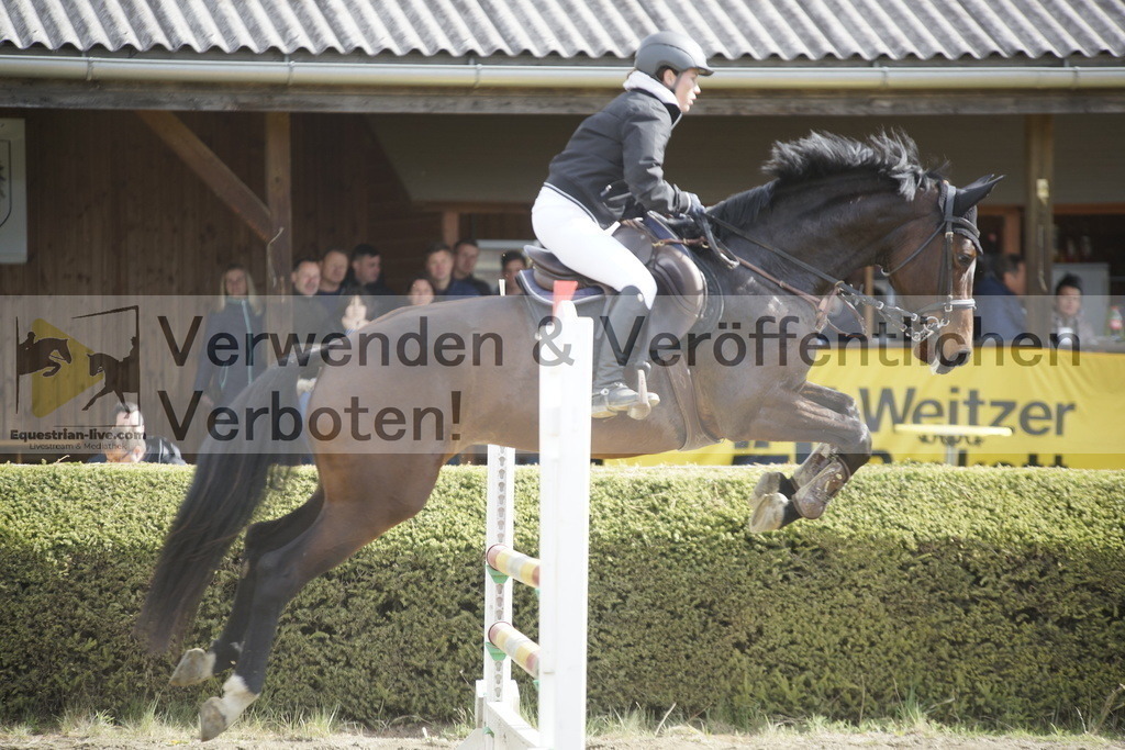 _DSC8629 | equestrian-live-com