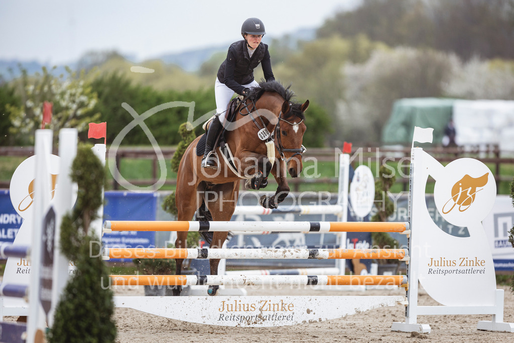 250417_Springpferde-L1-240 | Deine schönsten Turniermomente als professionelle Fotos! Entdecke hochwertige Pferdesport-Fotografie im Online-Shop. Jetzt Fotos finden & bestellen!