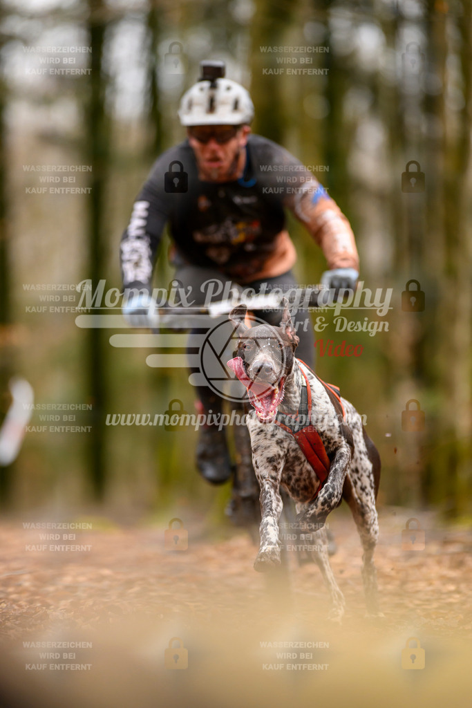 MompixPhotography_Habay2024_SA_Bike-52 | mompixphotography