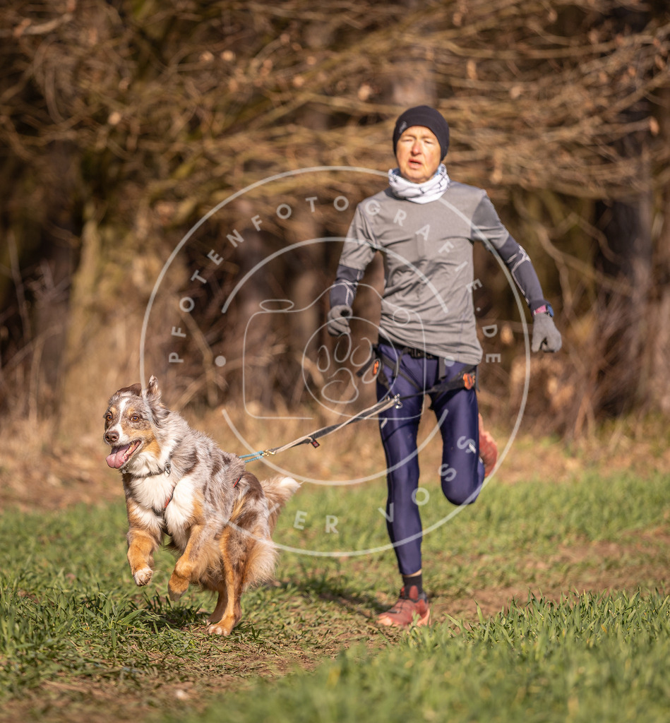 DV3A6432 | Hundefotografie, Tierfotograf, Pfotenfotografie, Fotoshooting Hund, Hunde Portrait, Hundesport, Hundeportraits, Heideshooting, Hunde, Sportfotograf, Hundefotograf, Turnierhundsport, THS,  - Realisiert mit Pictrs.com