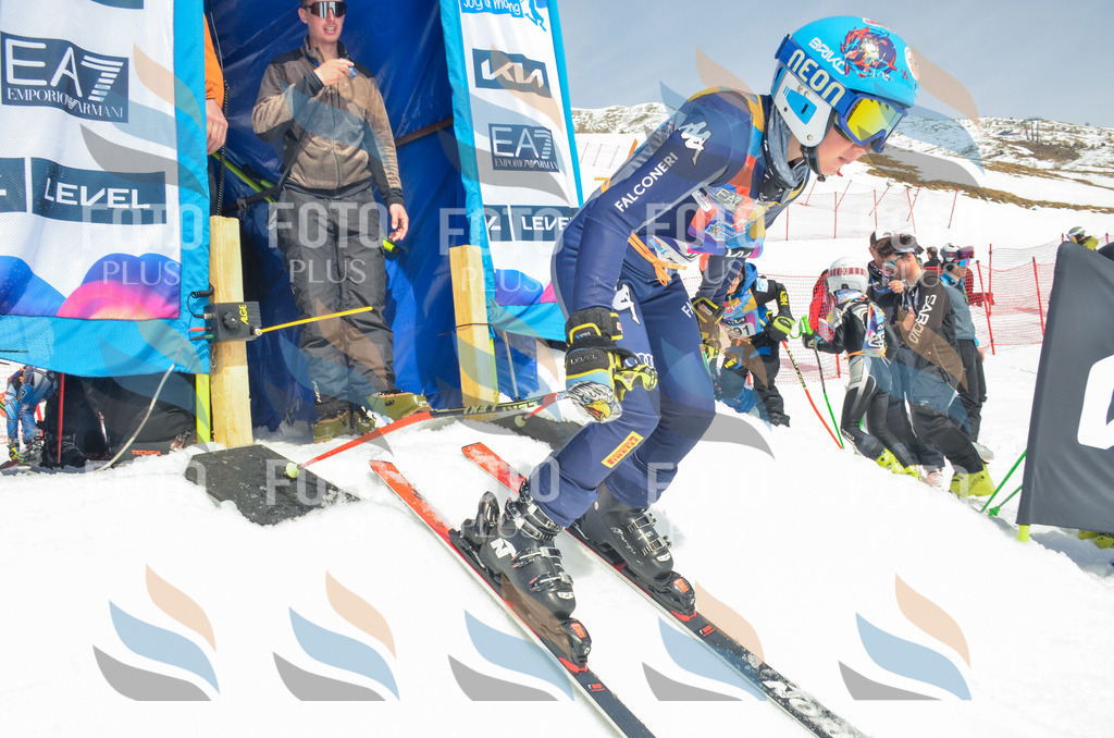 _ELE7283 | holidayphoto