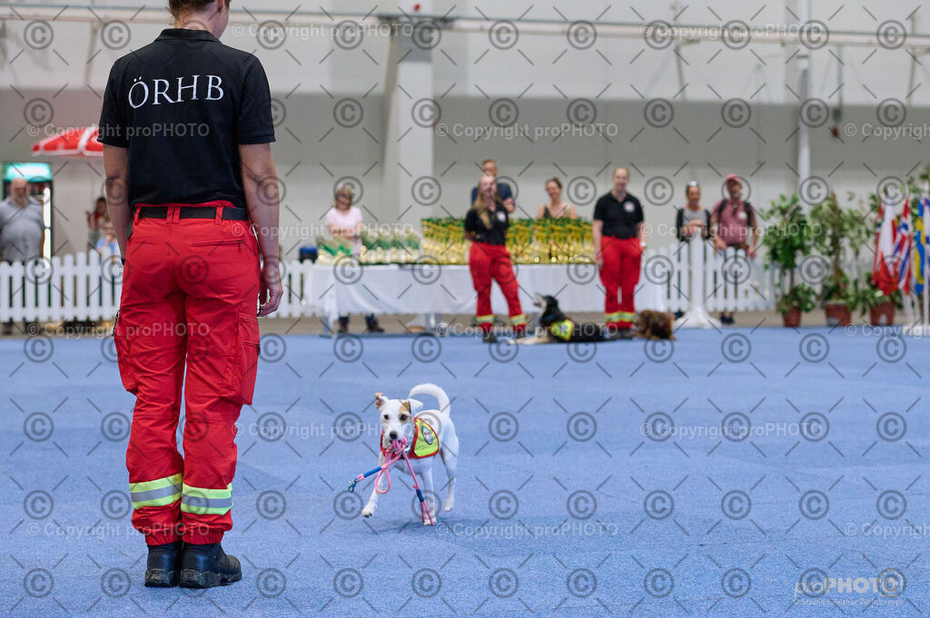 202406_ÖKV-IHA-Tulln24_DSC_3454 | proPHOTO - Realisiert mit Pictrs.com