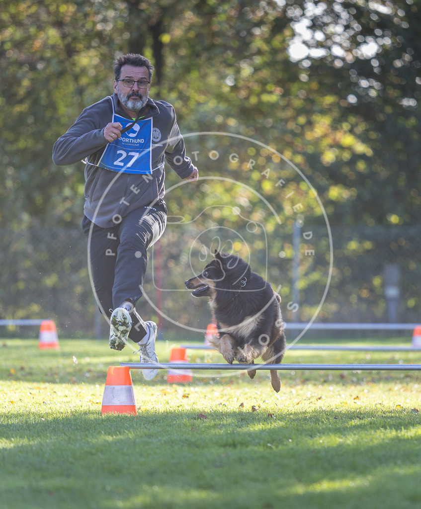 Pfotenfotografie.de_DV3A3107 | Hundefotografie, Tierfotograf, Pfotenfotografie, Fotoshooting Hund, Hunde Portrait, Hundesport, Hundeportraits, Heideshooting, Hunde, Sportfotograf, Hundefotograf, Turnierhundsport, THS, canicross - Realisiert mit Pictrs.com