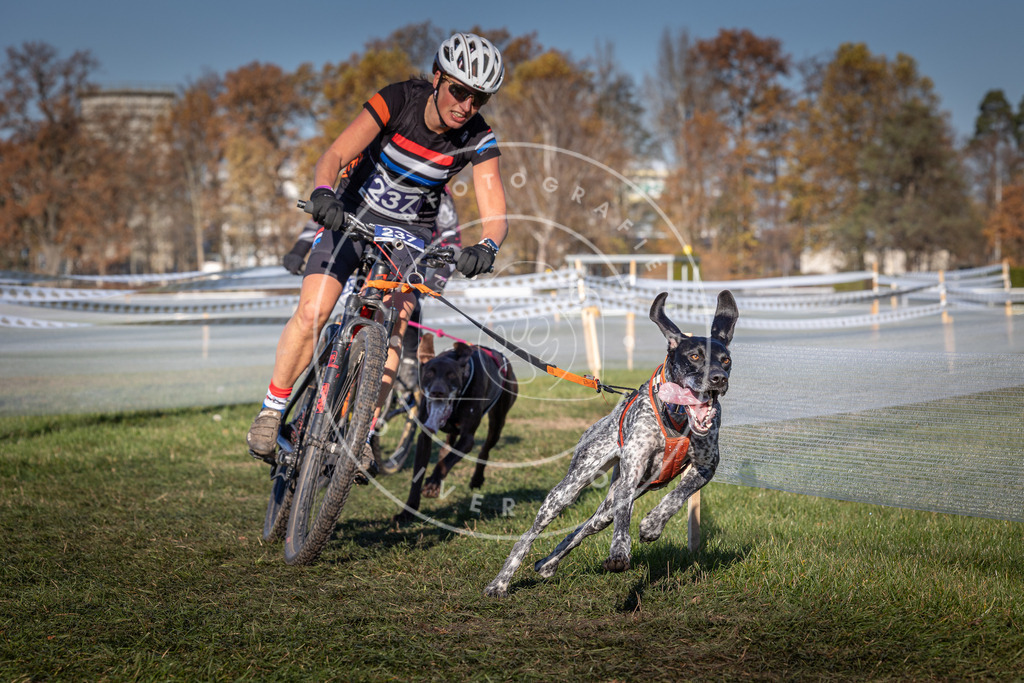 CaniXpix_0L8A4809 | Hundefotografie, Tierfotograf, Pfotenfotografie, Fotoshooting Hund, Hunde Portrait, Hundesport, Hundeportraits, Heideshooting, Hunde, Sportfotograf, Hundefotograf, Turnierhundsport, THS,  - Realisiert mit Pictrs.com