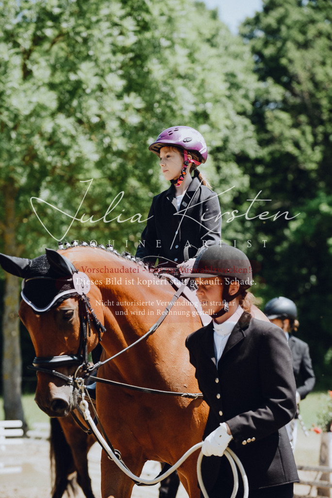 DSC_2114 | Pferde- und Turnierfotografie in Westsachsen. Pferdeportraits, Auftragszeichnungen und intuitive Kunst.