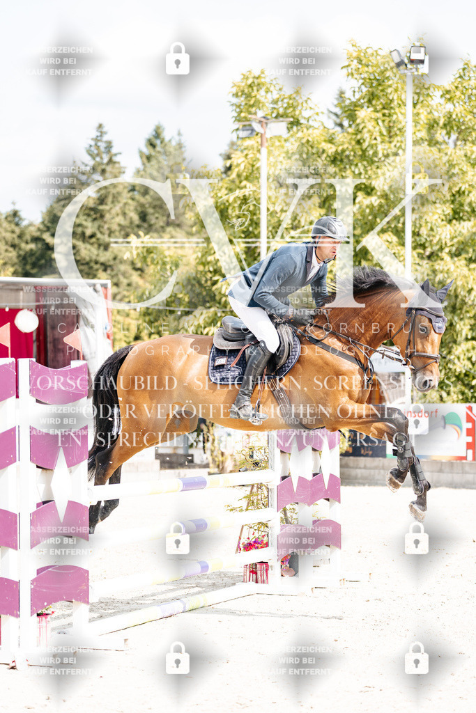 CK908847 | Turnierfotografie Pferdefotografie Trier Rheinland-Pfalz Pferdesport Reitsport Tierfotografie Sportfotografie Pferdevideo Pferdevideografie Equestrianvideography equestrianphotography  - Realisiert mit Pictrs.com