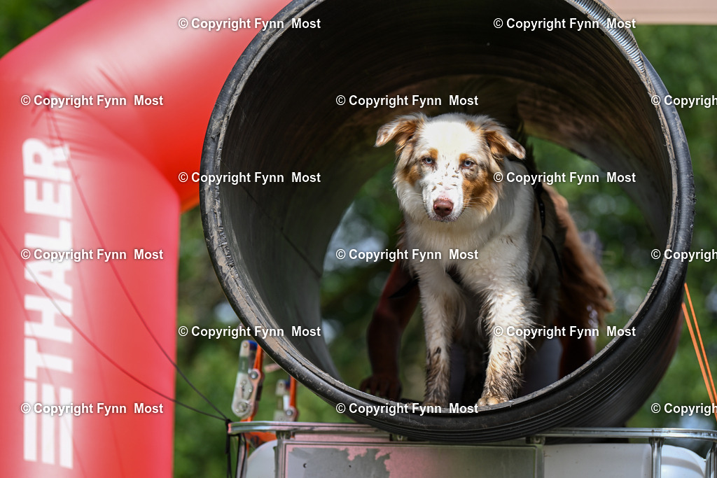 DSC_3614 | Hallo und herzlich Willkommen auf meiner Shop-Seite Fynn Most.

Ich wünsche Dir viel Spaß beim stöbern durch die Bilder, wenn Du Fragen hast oder Bilder vermisst, kannst du mir gerne eine Nachricht schreiben. - Realisiert mit Pictrs.com