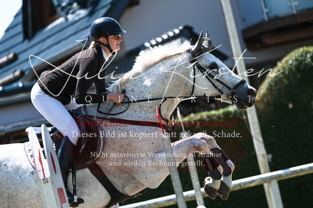 DSC_0270 | Pferde- und Turnierfotografie in Westsachsen. Pferdeportraits, Auftragszeichnungen und intuitive Kunst.
