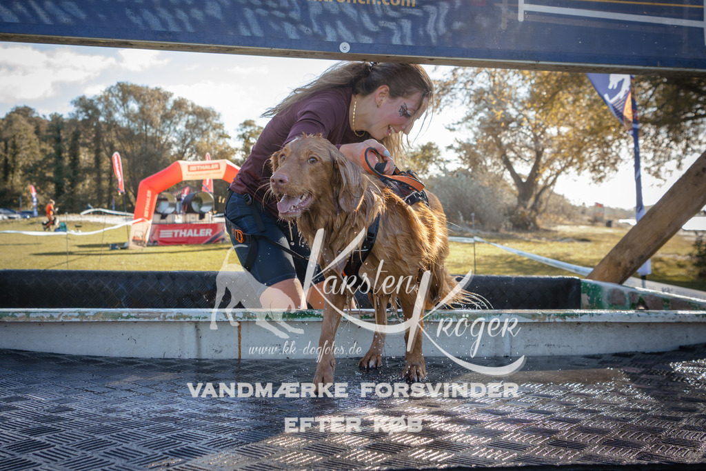 1200_ZZ94216 | kk-dogfotos