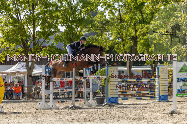 26-7-25 SPR M+-334 | mandyhollmannphotographie