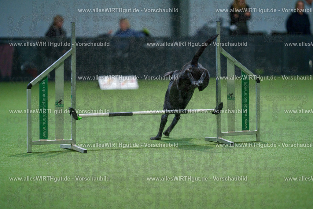 7R502439 | Professionelle Tierfotografie in Mönchengladbach von Daniel Wirth (allesWIRTHgut). Liebevolle & natürliche Bilder von Hunden & Katzen für unvergessliche Erinnerungen.