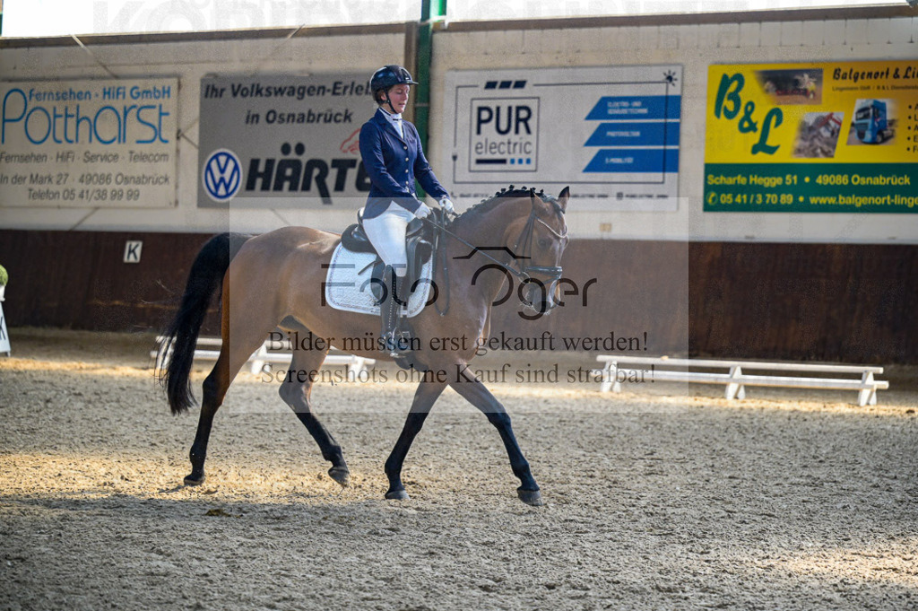 Reitturnier Voxtrup | Entdecke hochwertige Reitturnierfotos von Foto Oger. Professionell, emotional und authentisch – jetzt Lieblingsmomente im Shop bestellen.Deutschlandweite Turnierfotografie. - Realisiert mit Pictrs.com