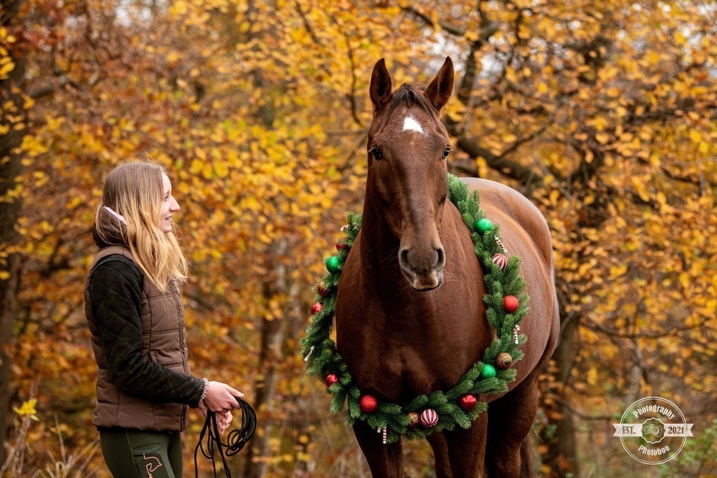 Lieblingsbilder_Photoboo_67 | Pferde- und Hundefotografie in Köln und Umgebung von Vanessza Csuka - Realisiert mit Pictrs.com