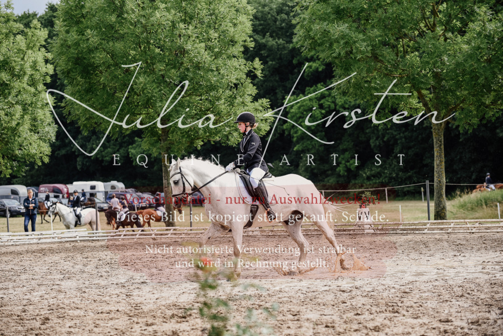 DSC_9465 | Pferde- und Turnierfotografie in Westsachsen. Pferdeportraits, Auftragszeichnungen und intuitive Kunst.