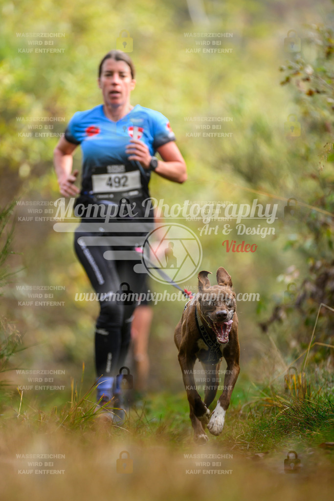 MompixPhotography_20TSB_E4_Run-115 | PayLife
