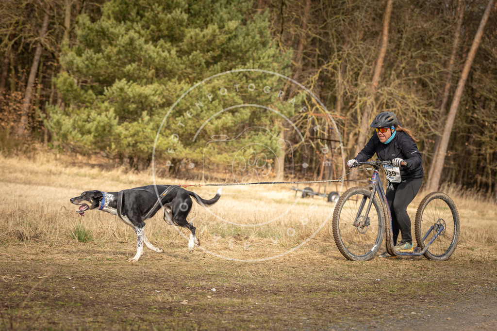 DV3A4746 | Hundefotografie, Tierfotograf, Pfotenfotografie, Fotoshooting Hund, Hunde Portrait, Hundesport, Hundeportraits, Heideshooting, Hunde, Sportfotograf, Hundefotograf, Turnierhundsport, THS,  - Realisiert mit Pictrs.com