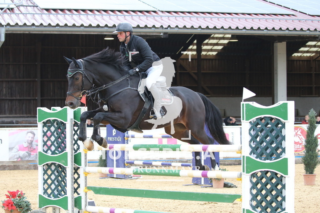 DL2Q1629 | Willkommen bei Brunnmayr - Design & Fotografie – Ihrem Spezialisten für Reitturniere und Pferdeveranstaltungen in Oberösterreich, Salzburg und Bayern! Seit über 17 Jahren sind wir leidenschaftlich dabei.