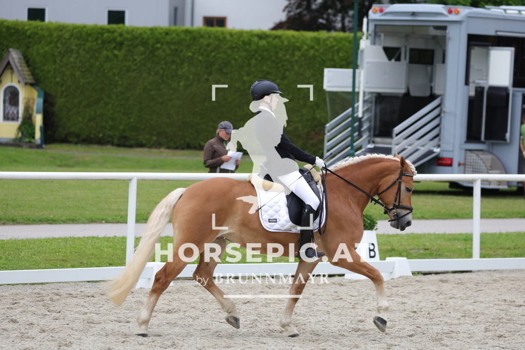 0P6A7089 | Willkommen bei Brunnmayr - Design & Fotografie – Ihrem Spezialisten für Reitturniere und Pferdeveranstaltungen in Oberösterreich, Salzburg und Bayern! Seit über 17 Jahren sind wir leidenschaftlich dabei.